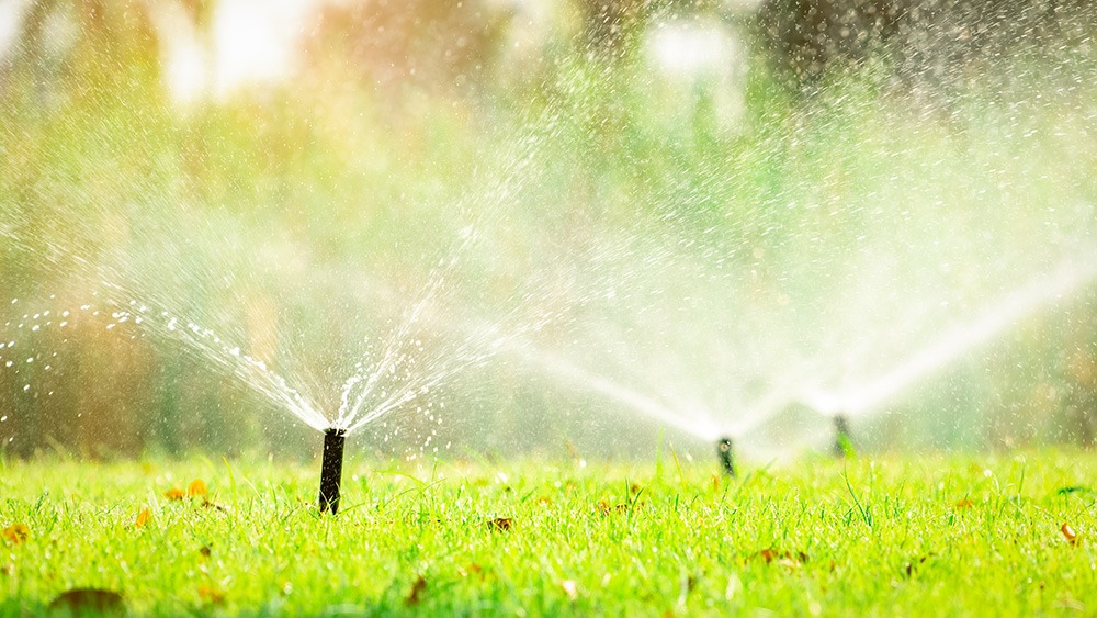 Sprinkler system