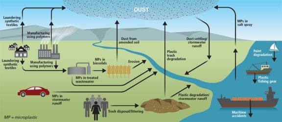 Microplastics in the environment