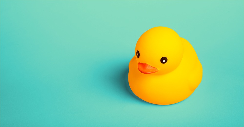 Rubber duck