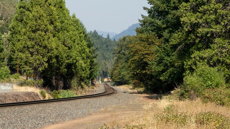 Train tracks in wooded area.