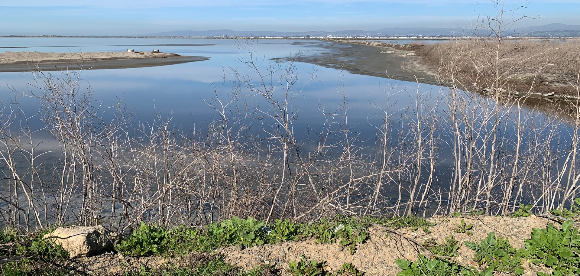San Francisco Bay’s tidal wetlands at Eden Landing Ecological Reserve